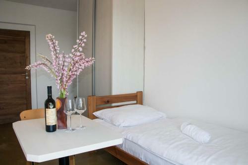 Hotel Pastviny