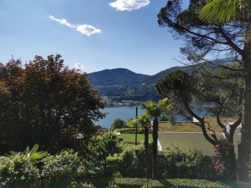 Apartamento Casa Le Palme -montagnola