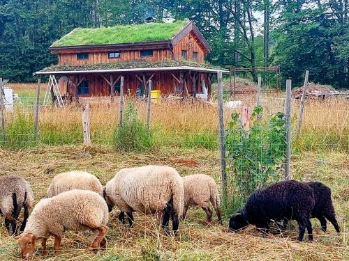 Chalet Bor?vka - Biofarma Na Samot? V Les�ch