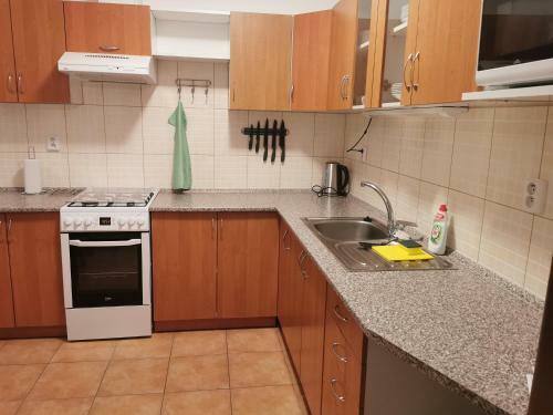 Apartm�ny Sv�tkov 79