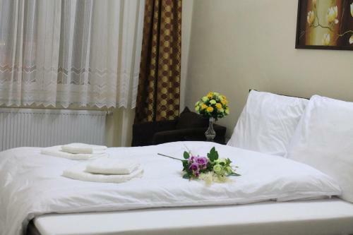 Hostal Pension Tv