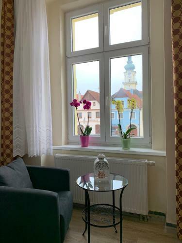 Hostal Pension Tv