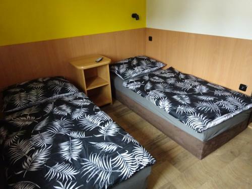 Hostal Penzion U Fika