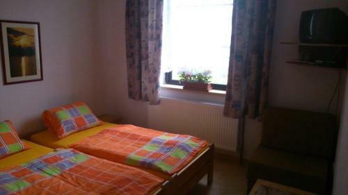 Hostal Penzion Bli?anovy