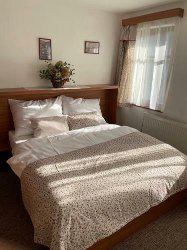 Hostal Penzion Veronika