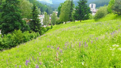 Apartm�n Li?ka - Horalka, Pec Pod Sn??kou