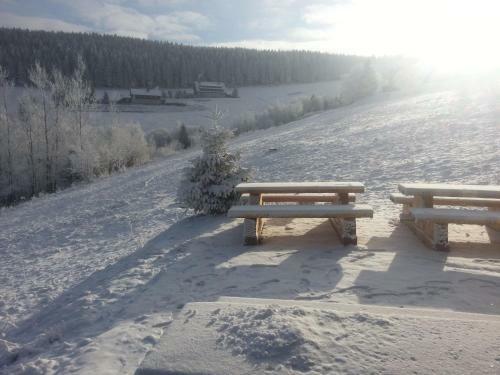 Hostal Horsk� Bouda Dimrovka