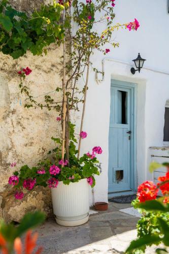 Alonaki House