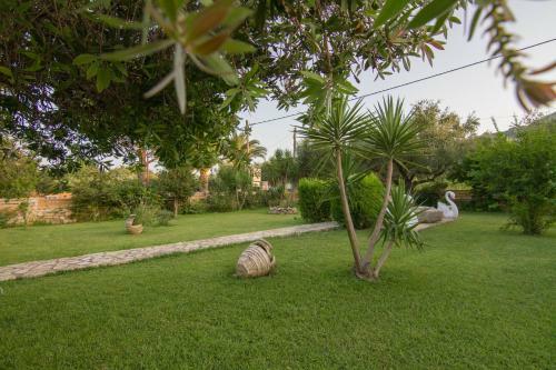 Olive Tree Apartment