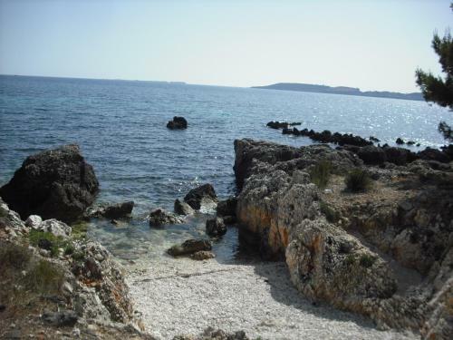 Kostas--sarantis