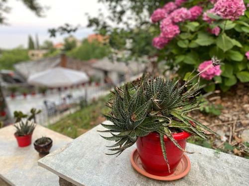 Sweet Home Kerasias