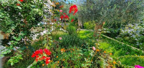 Apartamento Livadi Studios With Pool