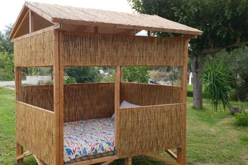 Apartamento Olive Grove Zakynthos