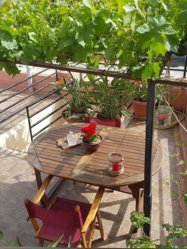 Traditional Residence With Terrace