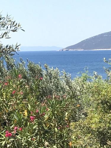 Villa Amalthea 2