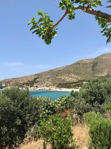 Villa Amalthea 2