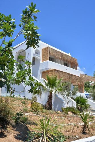 Aloe Mare Suites