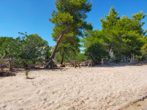 Villa Pied Dans L'eau