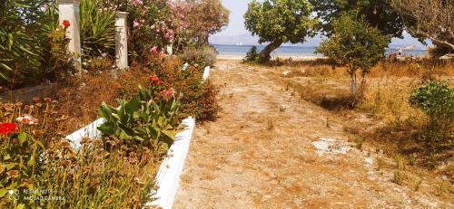 Cavos Sunrise Beach Apartments