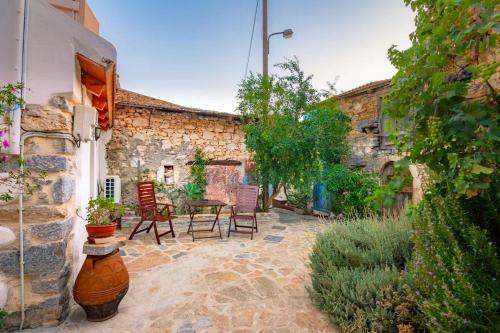 Olive Valley House