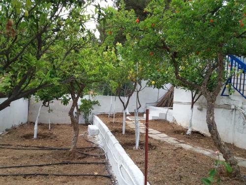 Agroturismo Aliki House