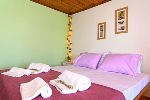 Agroturismo Aoria Traditional House