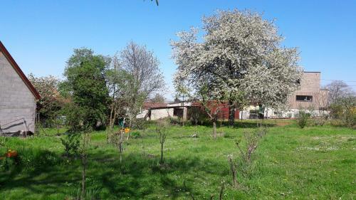 Bed & Breakfast G�te Et Chambres D'h�tes, L'erable