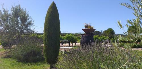 Bed & Breakfast Chambre Du Raisin