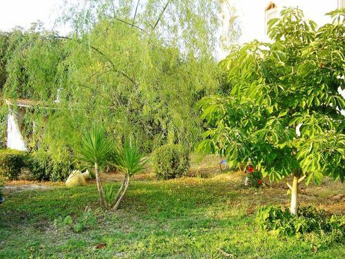 Green Harmony