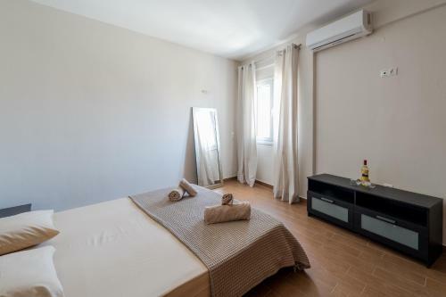 Central Town Apartment