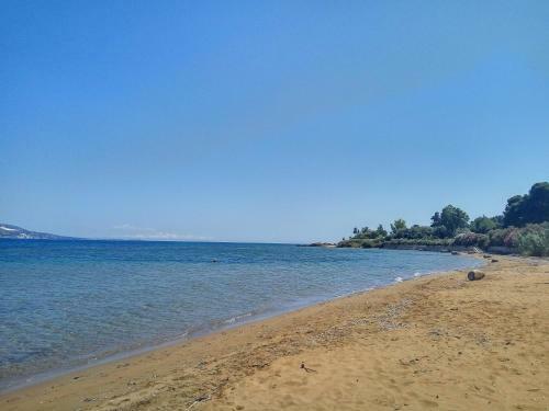 Loggos Sweet Home