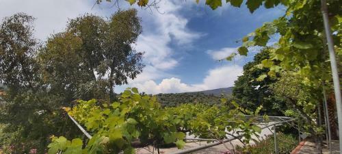 Villa Gonates