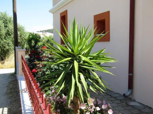 Apartamento Olive Grove House