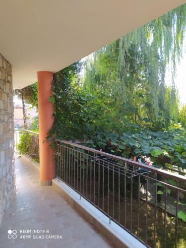 Apartamento Morfilivilla