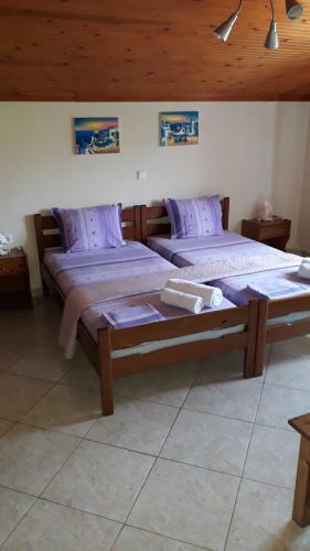 House Dilena Tsimtsiri