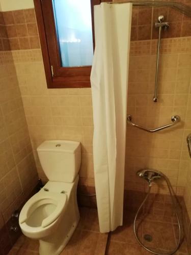 Hotel Arhontiko Olvia