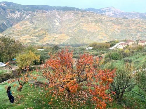 Apartamento Mountain House, Manna Peloponnese
