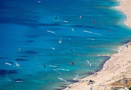 Olea Apartments