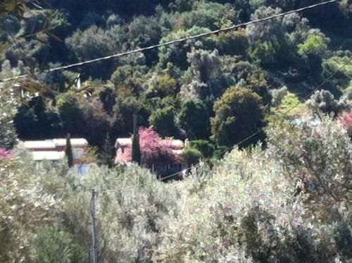 Volpetta House