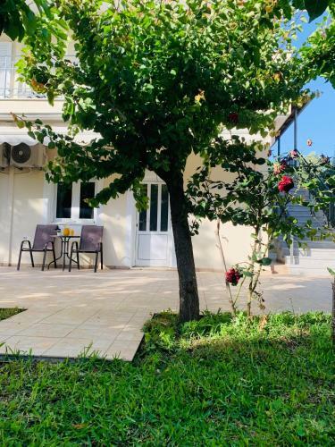 Olive Tree Apartments