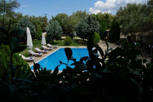 Villa Dioni
