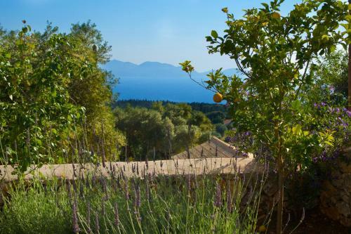 Villa Euphoria Retreat