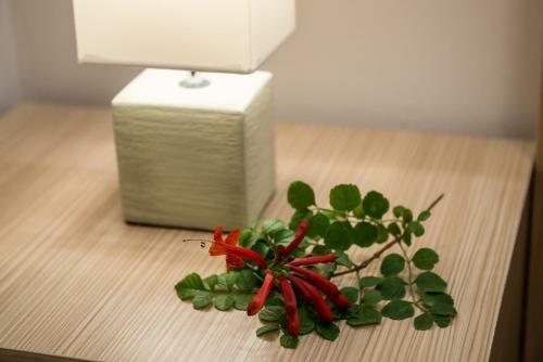 Apartamento Jasmine