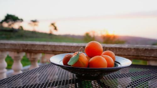Hostal Wild Fig Retreat