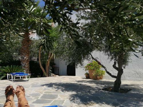 Thalassa Villa