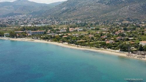 Palmar Club - Villa Maryam