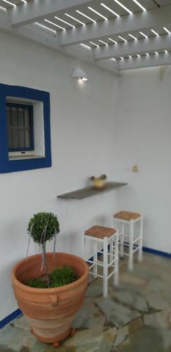 Bilmar Little Palace/ Steps From The Beach