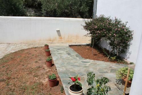 Hostal Thanos Studio