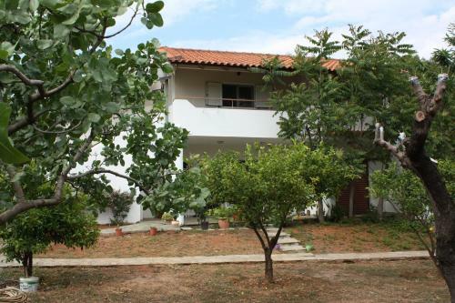 Hostal Thanos Studio
