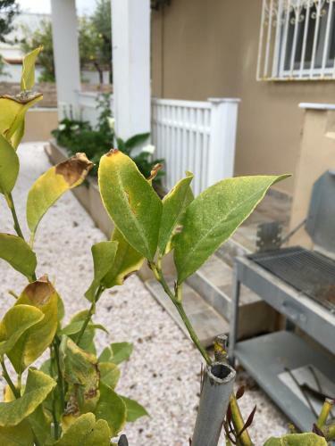 Apartamento Villa Constantina - ???? ???????????
